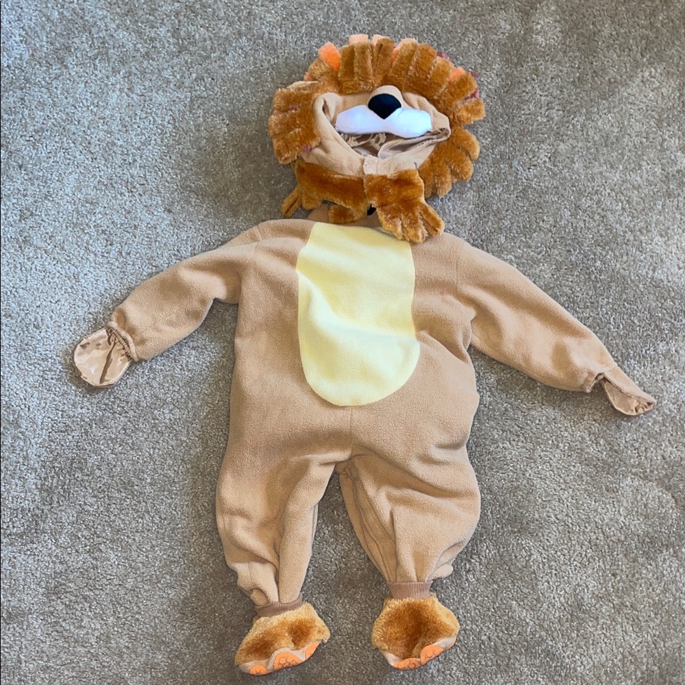 Adorable Lion Costume for Kids